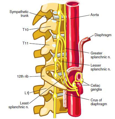 splanchnic and celiac plexus nerve block dr kambiz bagherzadi splanchnic