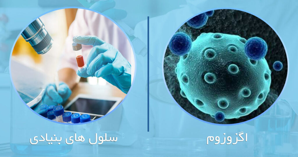 تفاوت اگزوزوم تراپی با درمانهای سلولهای بنیادی