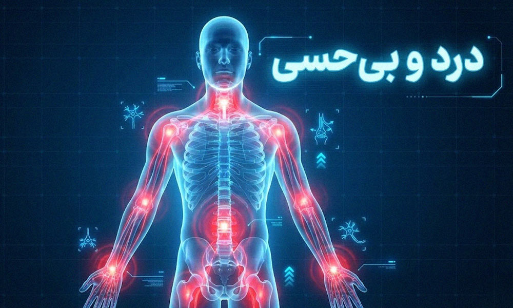 نقشه نواحی درد تیرکشنده و بی حسی بدن در اثر آسیب نخاعی